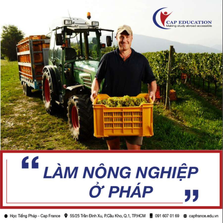 Hình ảnh minh họa Làm Nông Nghiệp Ở Pháp