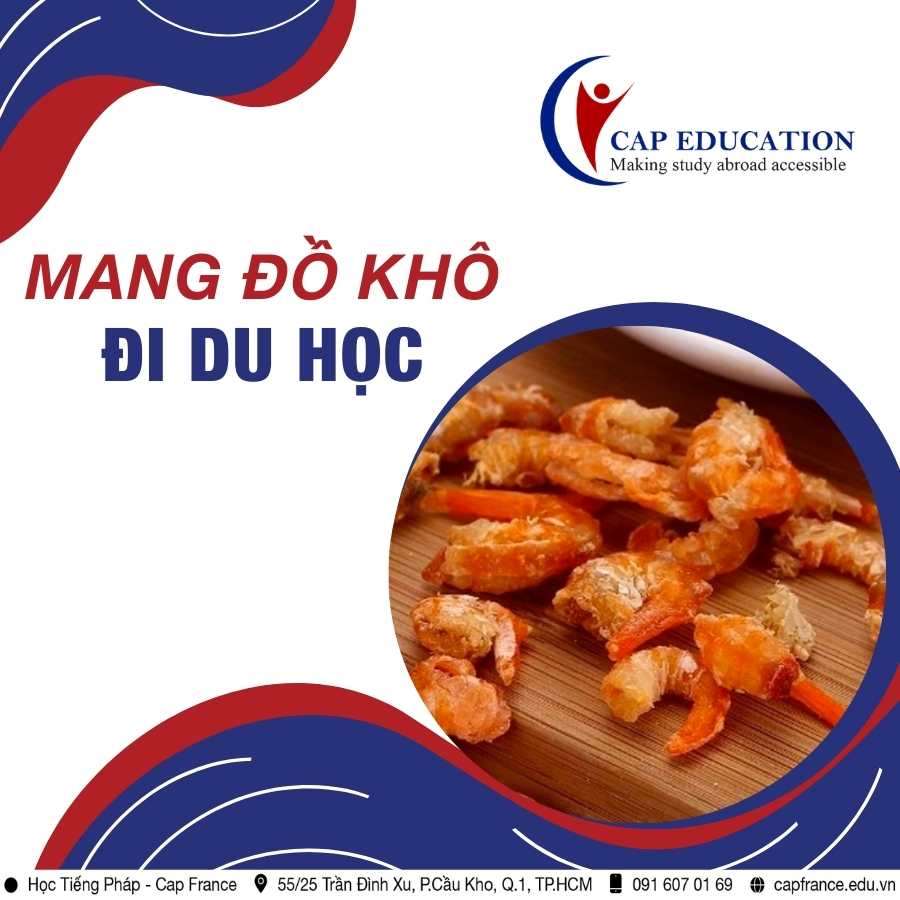 Hình ảnh minh họa Đồ Khô Mang Đi Du Học