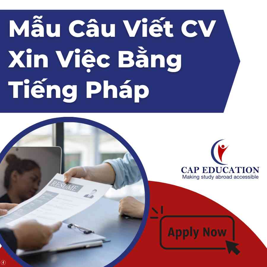 Mẫu Câu Viết CV Xin Việc Bằng Tiếng Pháp