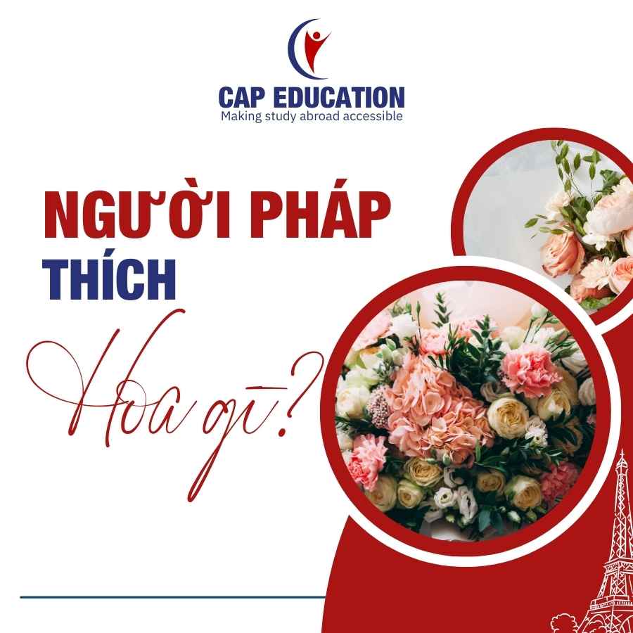 Hình ảnh minh họa Người Pháp Thích Hoa Gì?