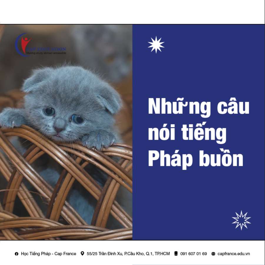 Những Câu Nói Tiếng Pháp Buồn
