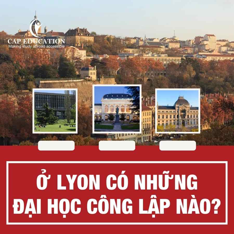 Hình ảnh minh họa Ở Lyon Có Những Đại Học Công Lập Nào?