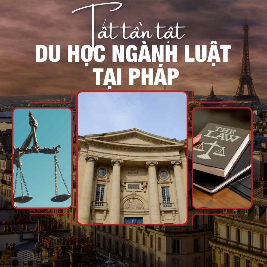 Hình ảnh minh họa Tất Tần Tật Về Du Học Ngành Luật Tại Pháp
