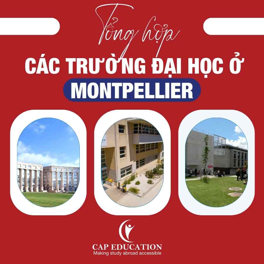 Hình ảnh minh họa Tổng Hợp Các Trường Đại Học Ở Montpellier