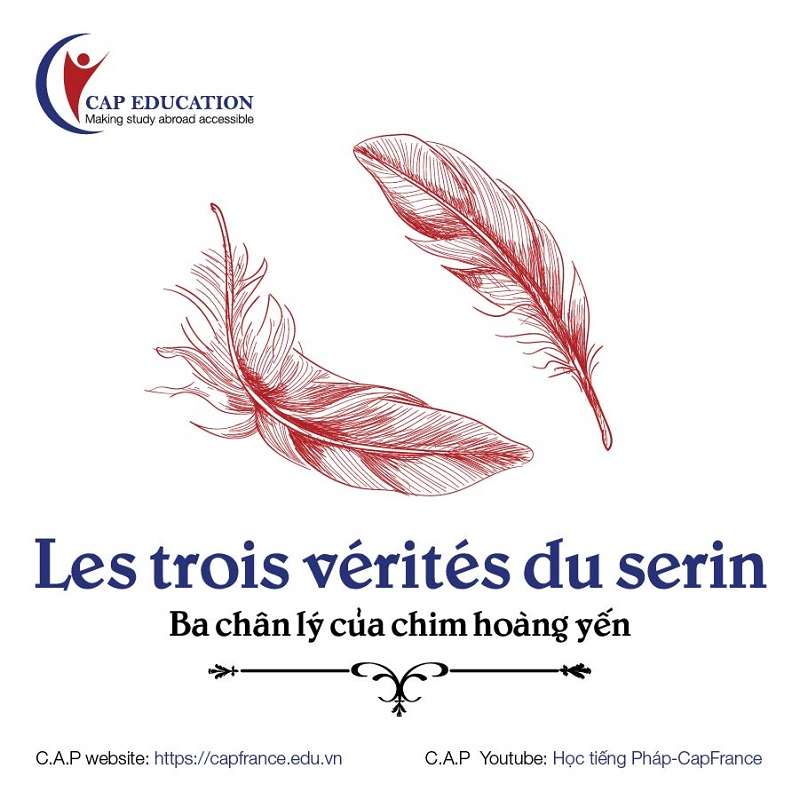 Truyện Tiếng Pháp Ba Chân Lí Của Chim Hoàng Yến