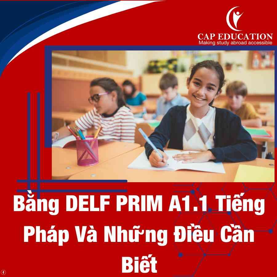 Bằng DELF PRIM A1.1 Tiếng Pháp Và Những Điều Cần Biết
