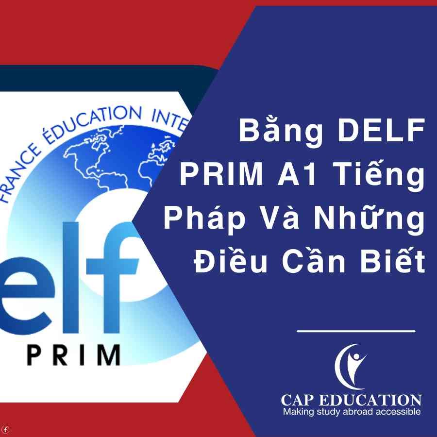 Bằng DELF PRIM A1 Tiếng Pháp Và Những Điều Cần Biết