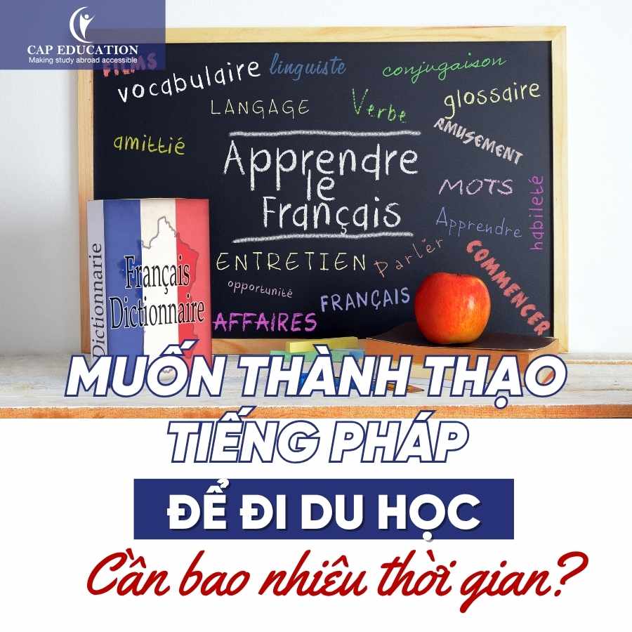 Hình ảnh minh họa Muốn Thành Thạo Tiếng Pháp Để Đi Du Học Cần Bao Nhiêu Thời Gian