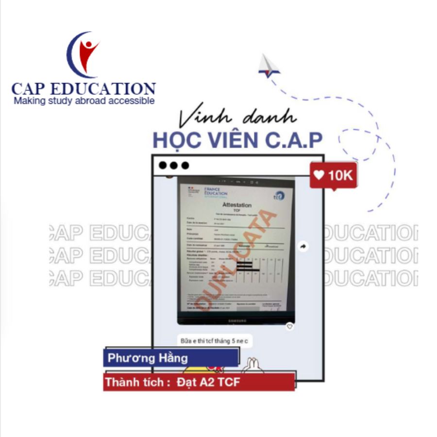 Nên Chọn Thi Chứng Chỉ TCF Canada Hay TEF