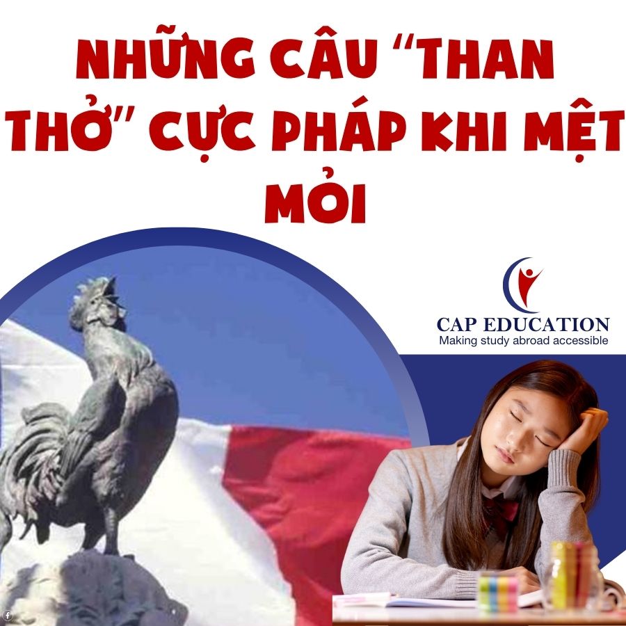 Những Câu Than Thở Cực Pháp Khi Mệt Mỏi