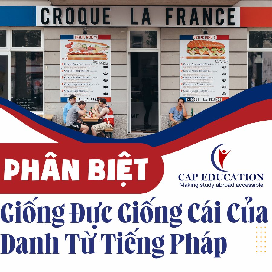 Phân Biệt Giống Đực Giống Cái Của Danh Từ Tiếng Pháp