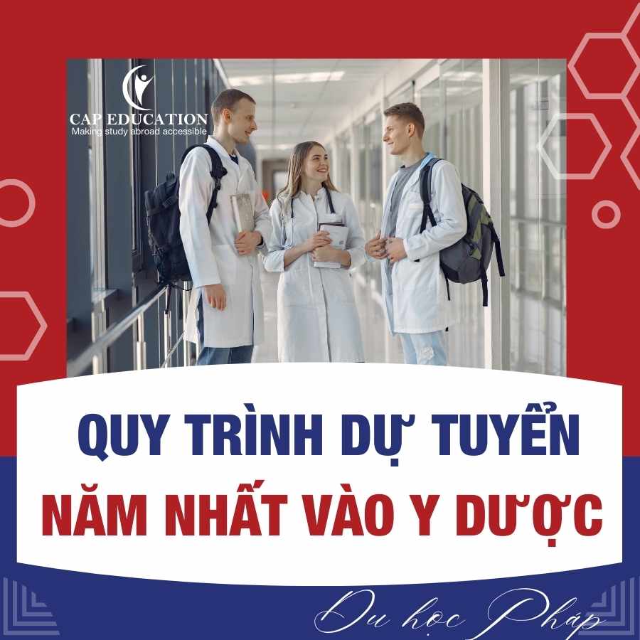 Hình ảnh minh họa Quy Trình Dự Tuyển Năm Nhất Vào Y Dược Du Học Pháp