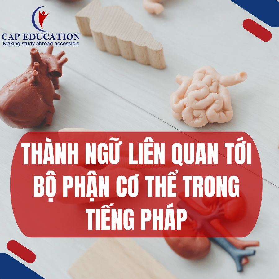 Thành Ngữ Liên Quan Tới Bộ Phận Cơ Thể Trong Tiếng Pháp