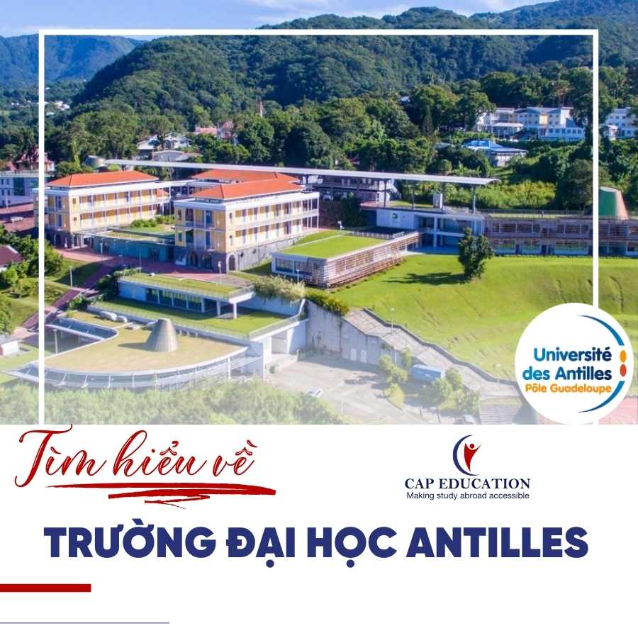 Hình ảnh minh họa Tìm Hiểu Về Trường Đại Học Antilles