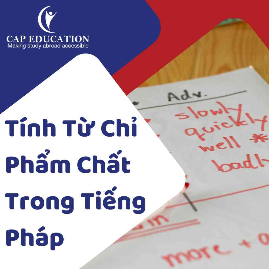 Tính Từ Chỉ Phẩm Chất Trong Tiếng Pháp